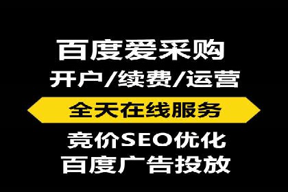 成功SEM托管案例：流量与转化双赢